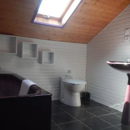 Guest house Chambres Chez Vlad 3*